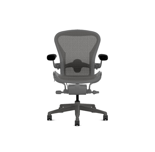 Aeron Grösse B, Carbon AER1B23DF AJ CRB SNC DCR C7 23102 2119
