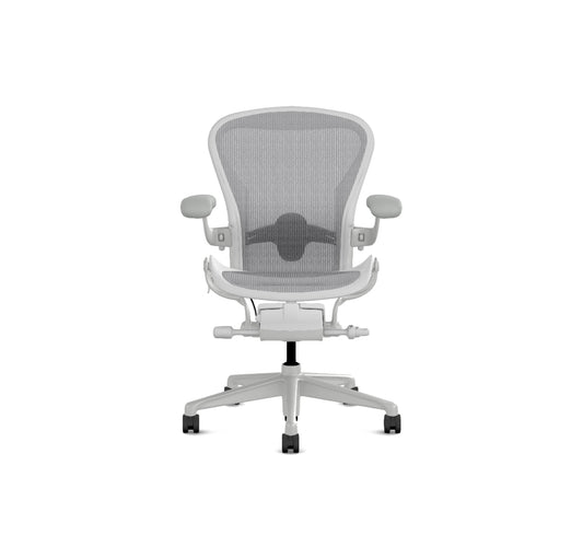 Aeron Grösse B, Mineral AER1B23HW AJ VPR SNA SNA C7 DVP 23101