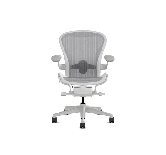 Aeron Grösse B, Mineral AER1B23PW AJ VPR SNA SNA C7 DVP 23101