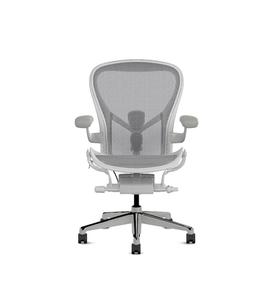 Aeron Grösse C, Mineral AER1C33PF ALP VPR SNA CD C7 23101 2118