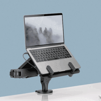 Ollin Laptop & Tablet Mount